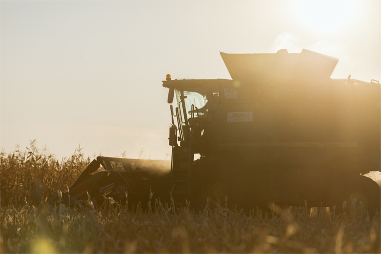 Растениеводство Растениеводство