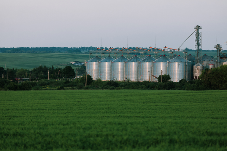 Семеноводство