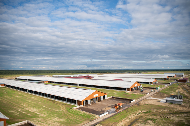 Калужская нива