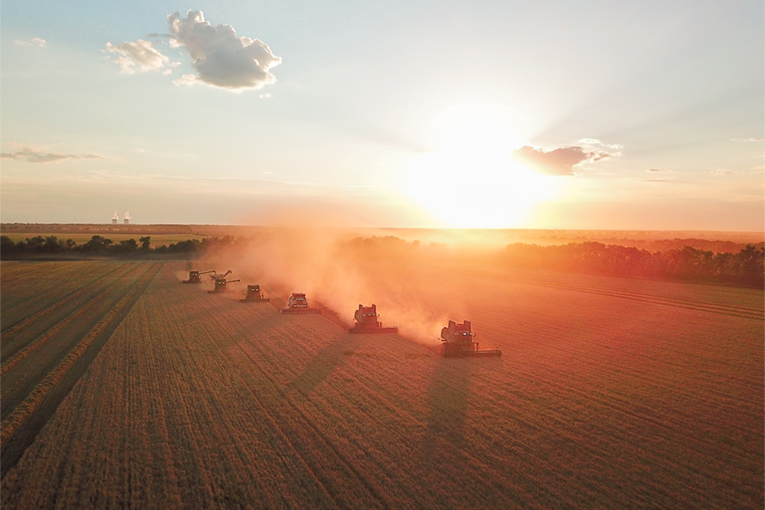 О компании «ЭкоНива-АПК» О компании «ЭкоНива-АПК»