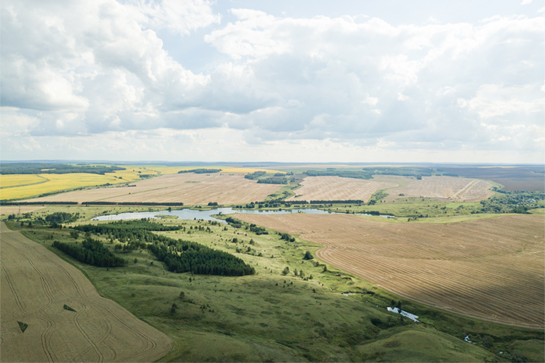Управляющая компания ЭкоНива-АПК Холдинг