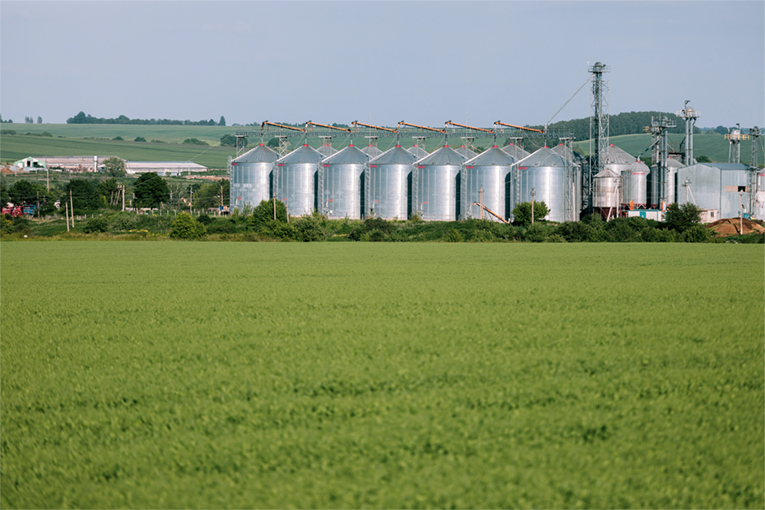 ЭкоНива-Семена