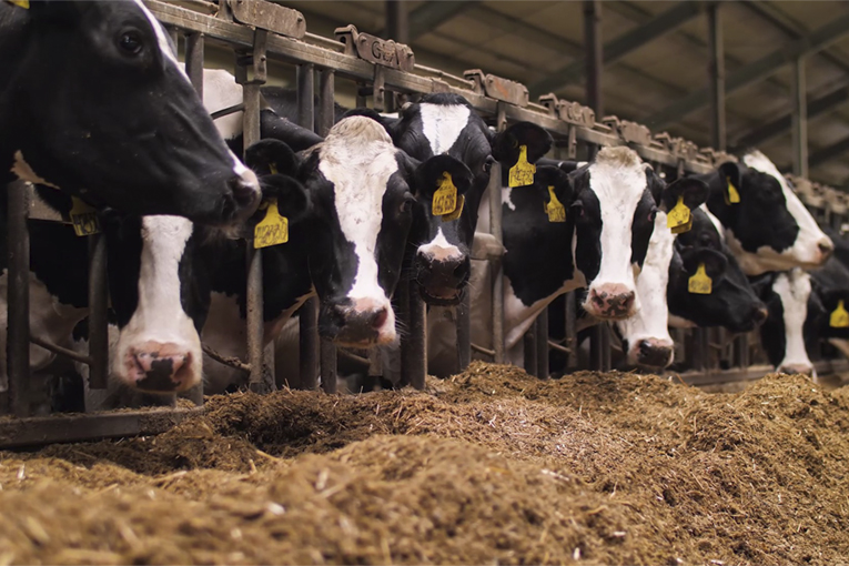 Междуречье Междуречье