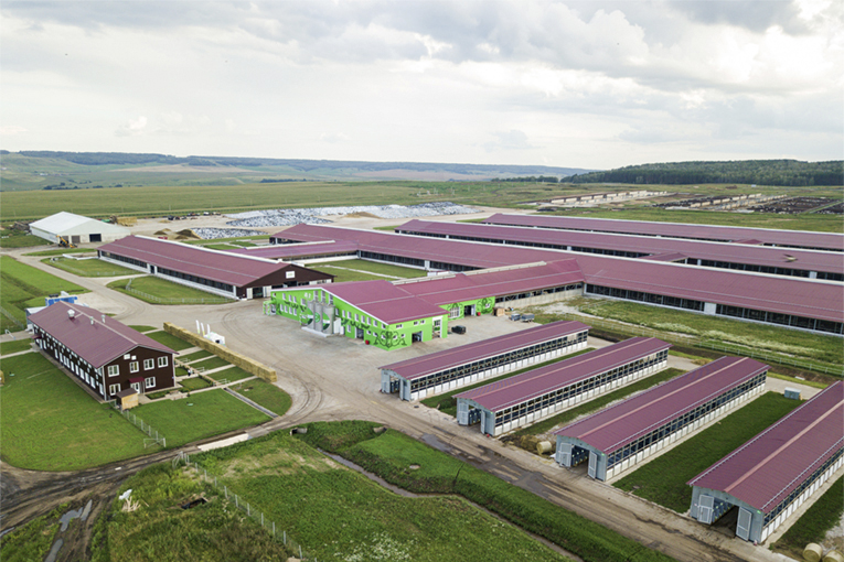 Северная Нива