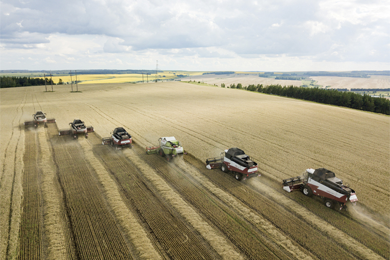 Северная Нива