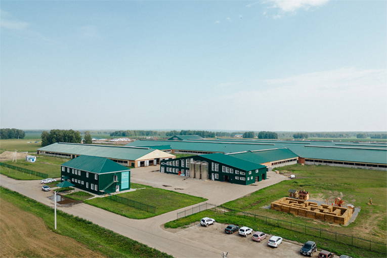 Сибирская Нива Сибирская Нива