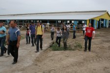 Визит ассоциации молодых фермеров из Нидерландов в ООО ЭкоНиваАгро, 9.06.11 (3)