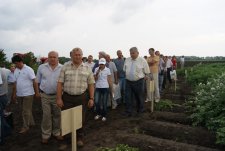 День поля в Курской области, 7.07.11