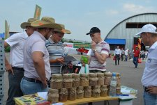 International Field Day in Tula oblast