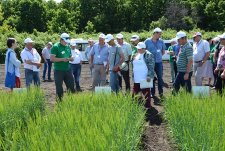 День поля в «Защитном» — 2017