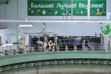 Launch of four modern dairy farms in Voronezh oblast