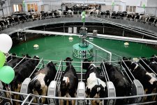 Открытие ЖК "Нестерово", Рязанская область