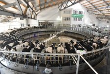 Opening of the modern dairy farm Elban