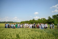 День поля «ЭкоНива-Семена» – 2025