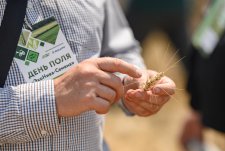 День поля «ЭкоНива-Семена» – 2025