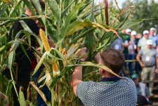 Мастер-класс по растениеводству – 2025