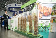 АГРАВИЯ – 2026