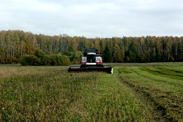 «ЭкоНива» продолжает заготовку органических кормов