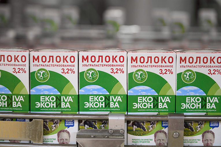 «ЭкоНива» нарастила молочное поголовье и его продуктивность в 2024 г.
