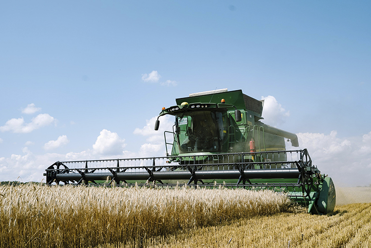 «ЭкоНива» нарастила молочное поголовье и его продуктивность в 2024 г.