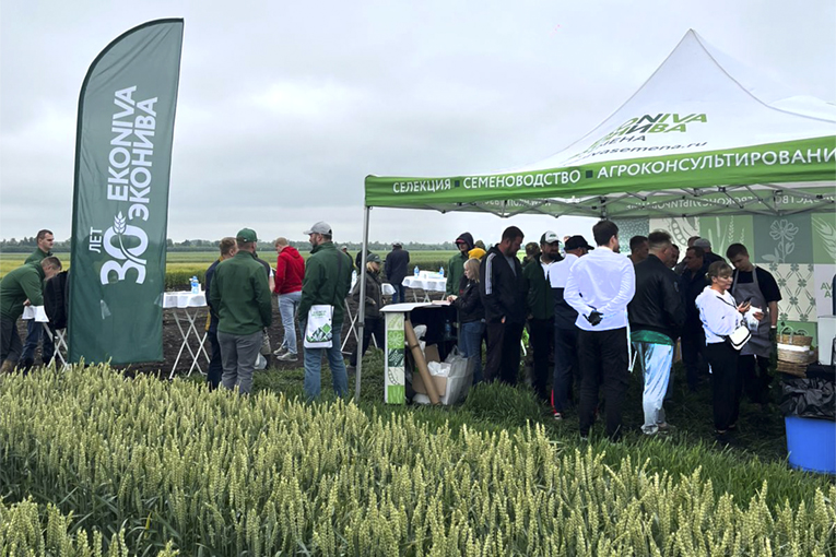 Урожай вопреки засухе: новые сорта и технологии от «ЭкоНивы» фермерам юга страны 