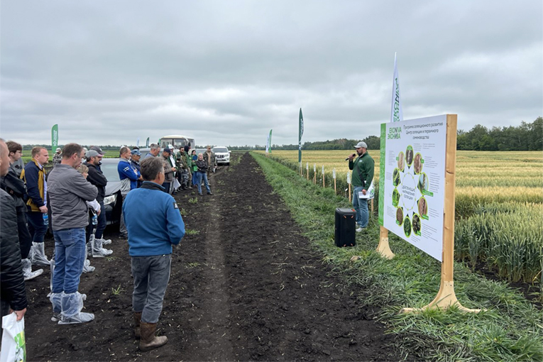 Урожай вопреки засухе: новые сорта и технологии от «ЭкоНивы» фермерам юга страны 