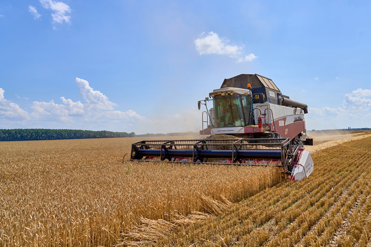 Хозяйства «ЭкоНивы» приступили к уборке урожая