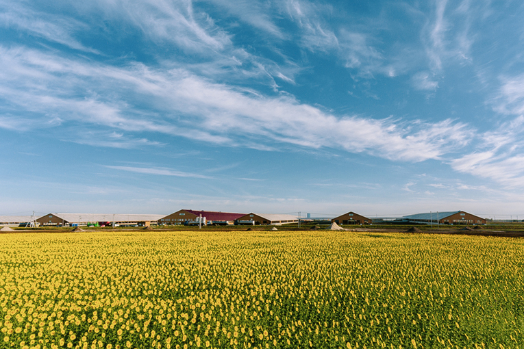 «ЭкоНива» остается безусловным лидером в рейтинге производителей сырого молока