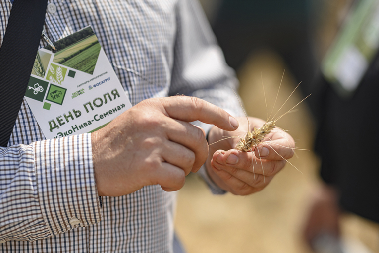 День поля в рязанском подразделении группы «ЭкоНива»