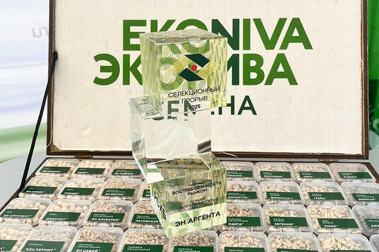 Соя ЭН Аргента вошла в число лучших отечественных сортов по версии премии «Селекционный прорыв»