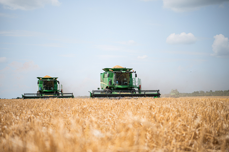 В хозяйствах «ЭкоНивы» собрано 1,2 млн т товарных культур