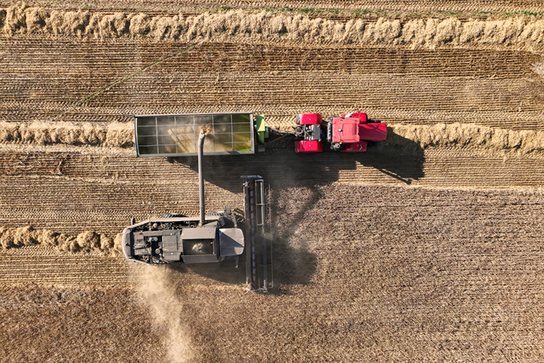 «ЭкоНива» объявляет операционные результаты за 2025 г.