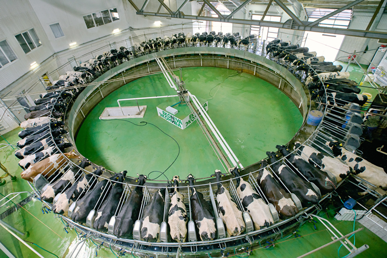 «ЭкоНива» объявляет операционные результаты за 2025 г.