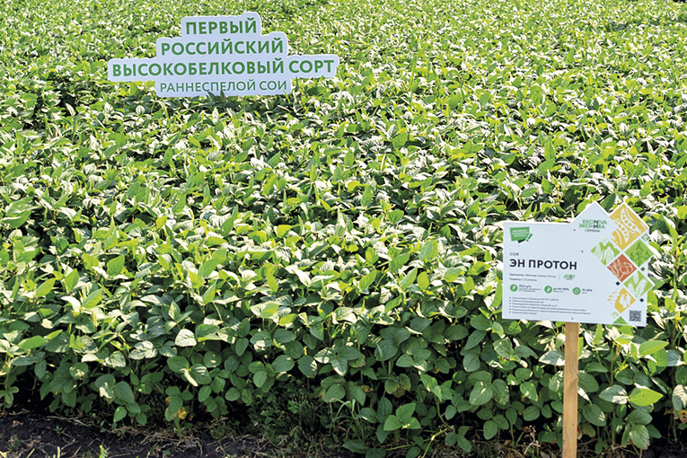 ЭН Протон – заряжен на результат