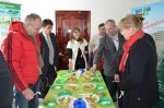 Opening of potato storage facility in Zashchitnoye