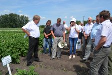 Field Day in Kursk Oblast
