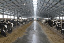 Opening of the rotary milking parlour
