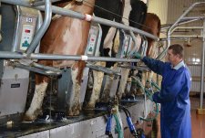 Clients of EkoNiva-Tekhnika visit a dairy in Voronezh oblast