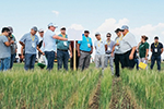 «ЭкоНива» совместно с казахстанским предприятием организовали первый собственный полевой семинар в республике 